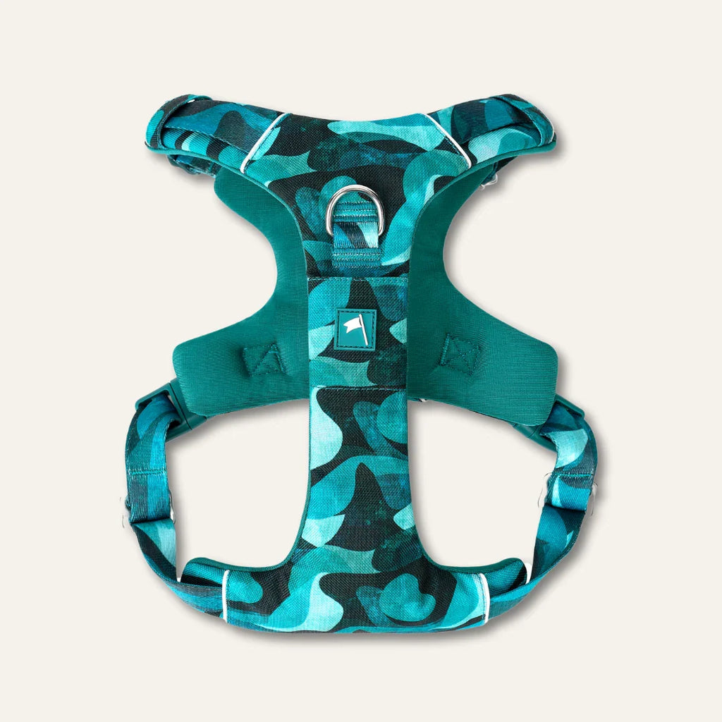 Twiggy Tags Adventure 2.0 Harness in Lagoon