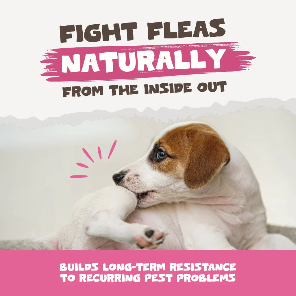 Pets Purest Flea and Tick Powder