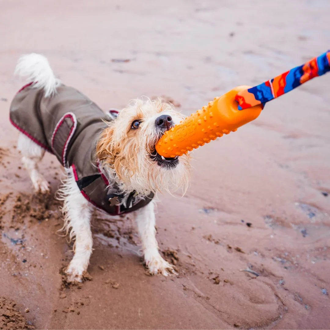 Bob the 3-in-1 Dummy Training Toy by Tug-e-Nuff