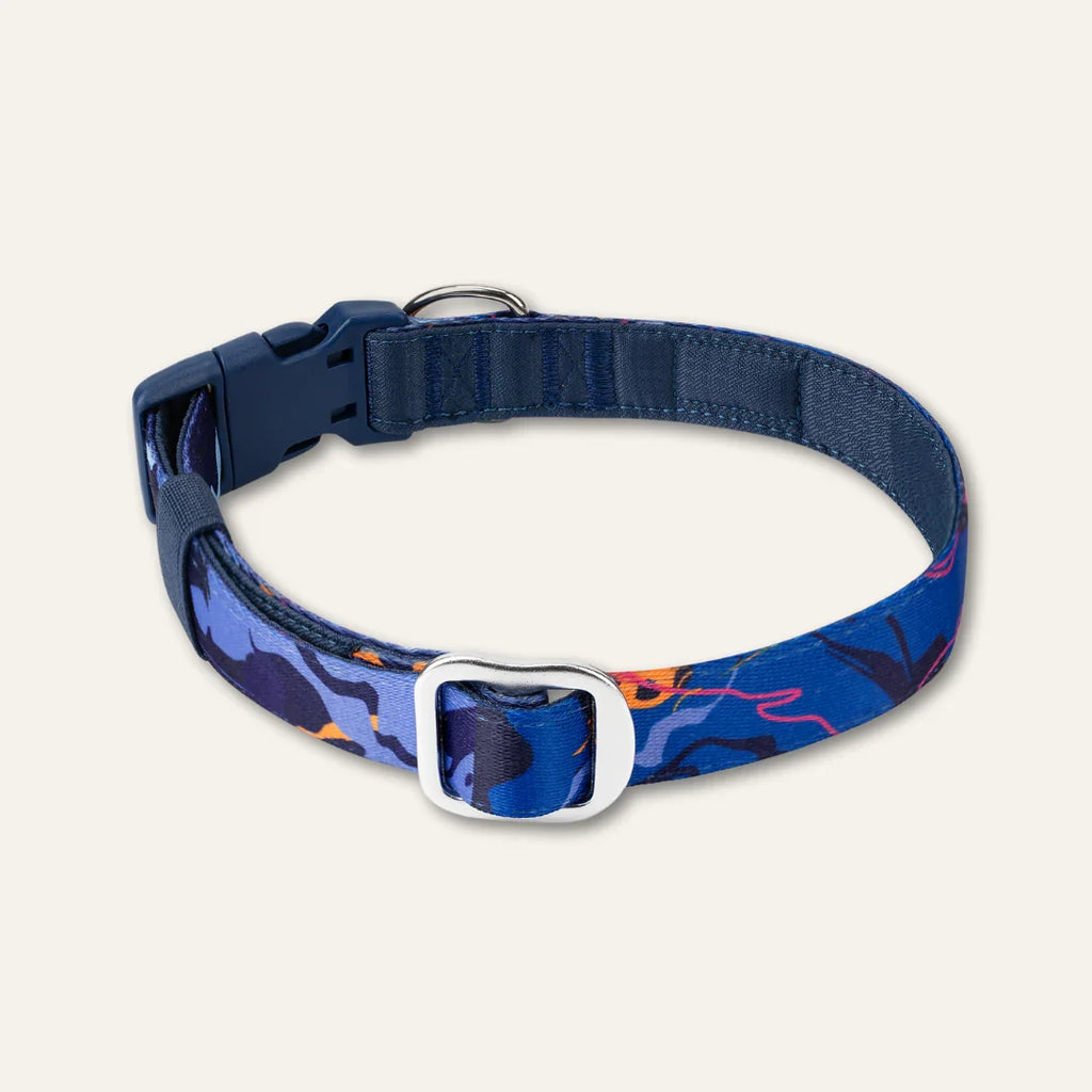 Twiggy Tags Apex Collar in Nebula