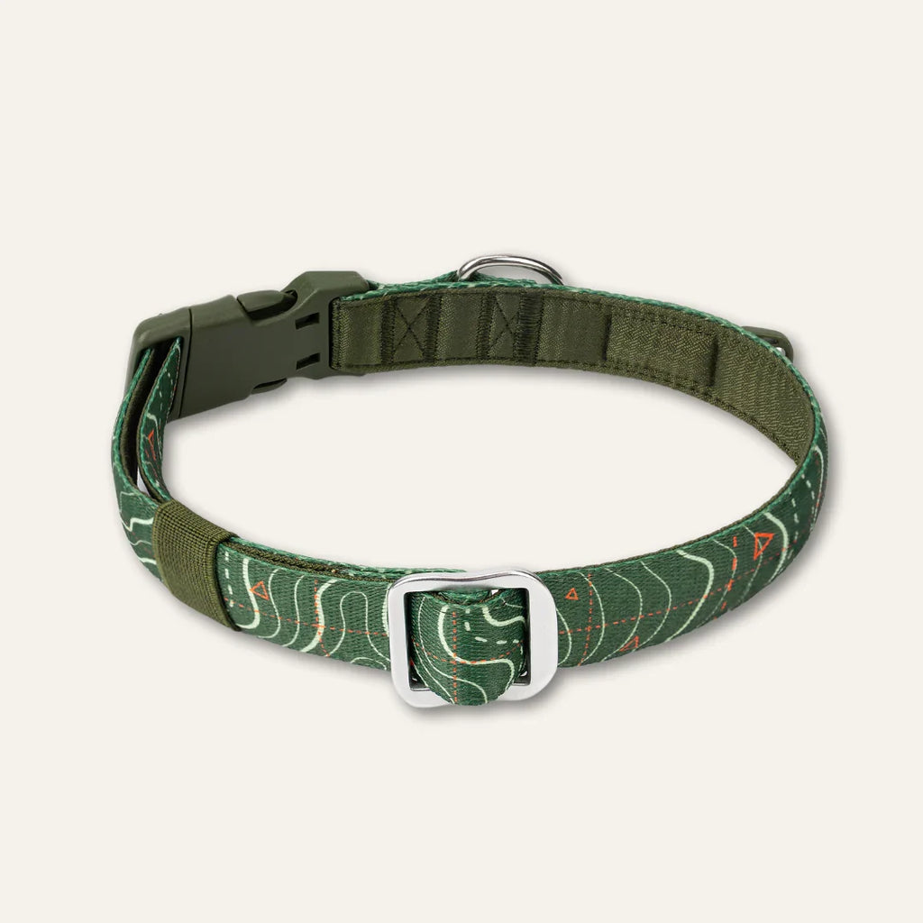 Twiggy Tags Apex Collar in Nomad