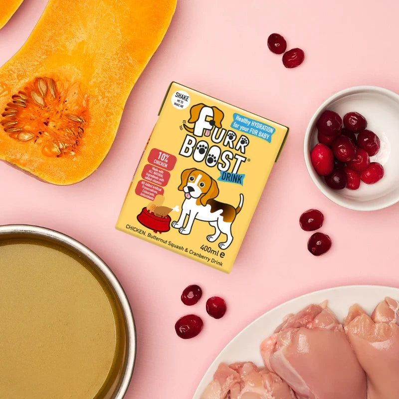 Furr Boost Superfood Smoothie Drinks for Dogs