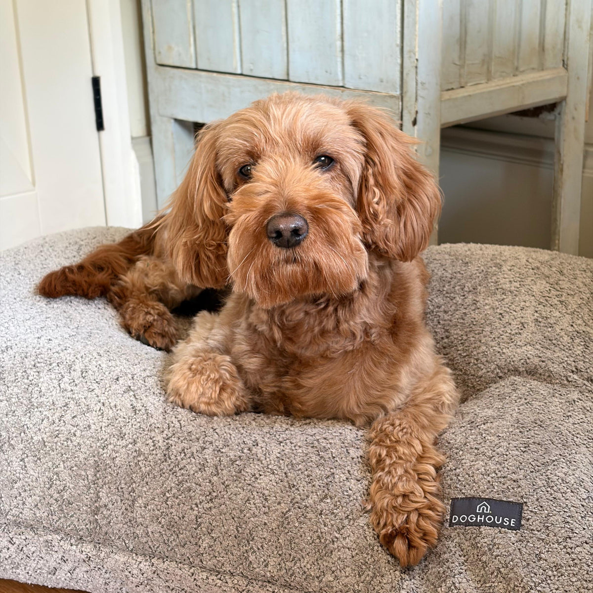 Pawliora Chenille Bed Pad for Dogs
