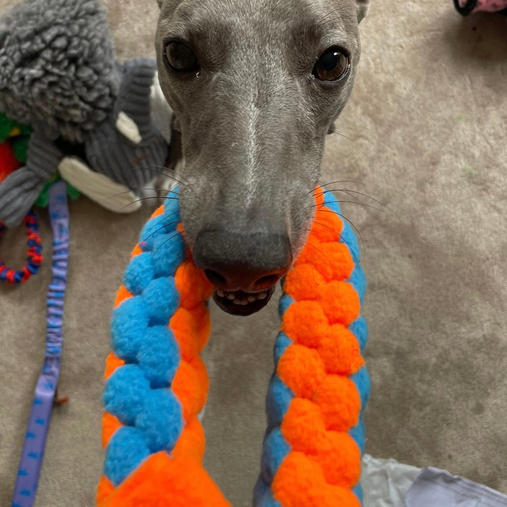 Pawliora Play and Tug Fleece Toy