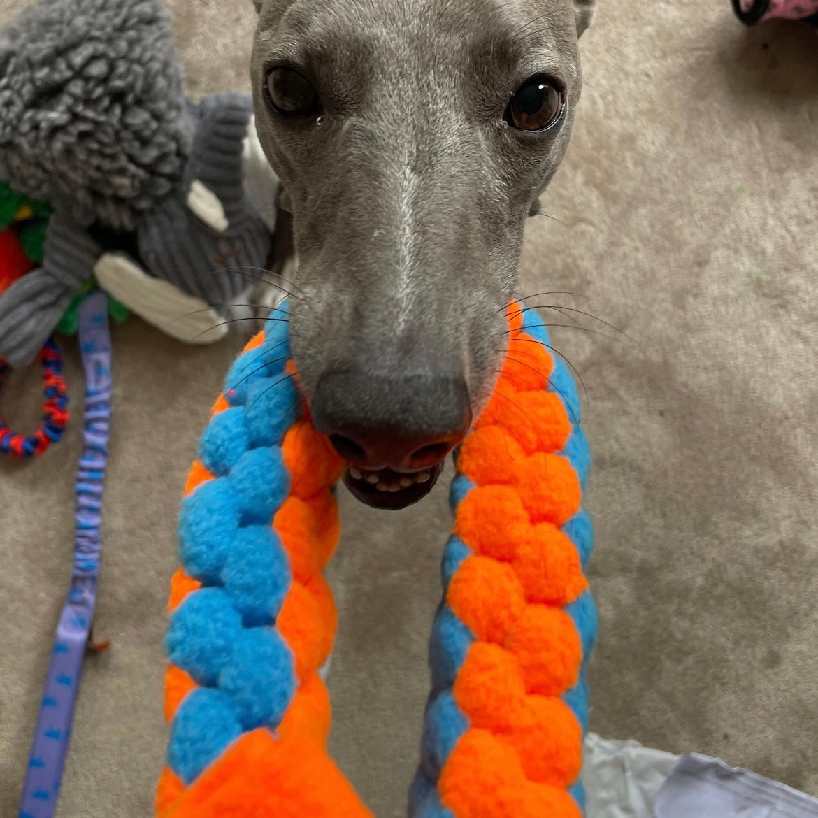 Pawliora Play and Tug Fleece Toy