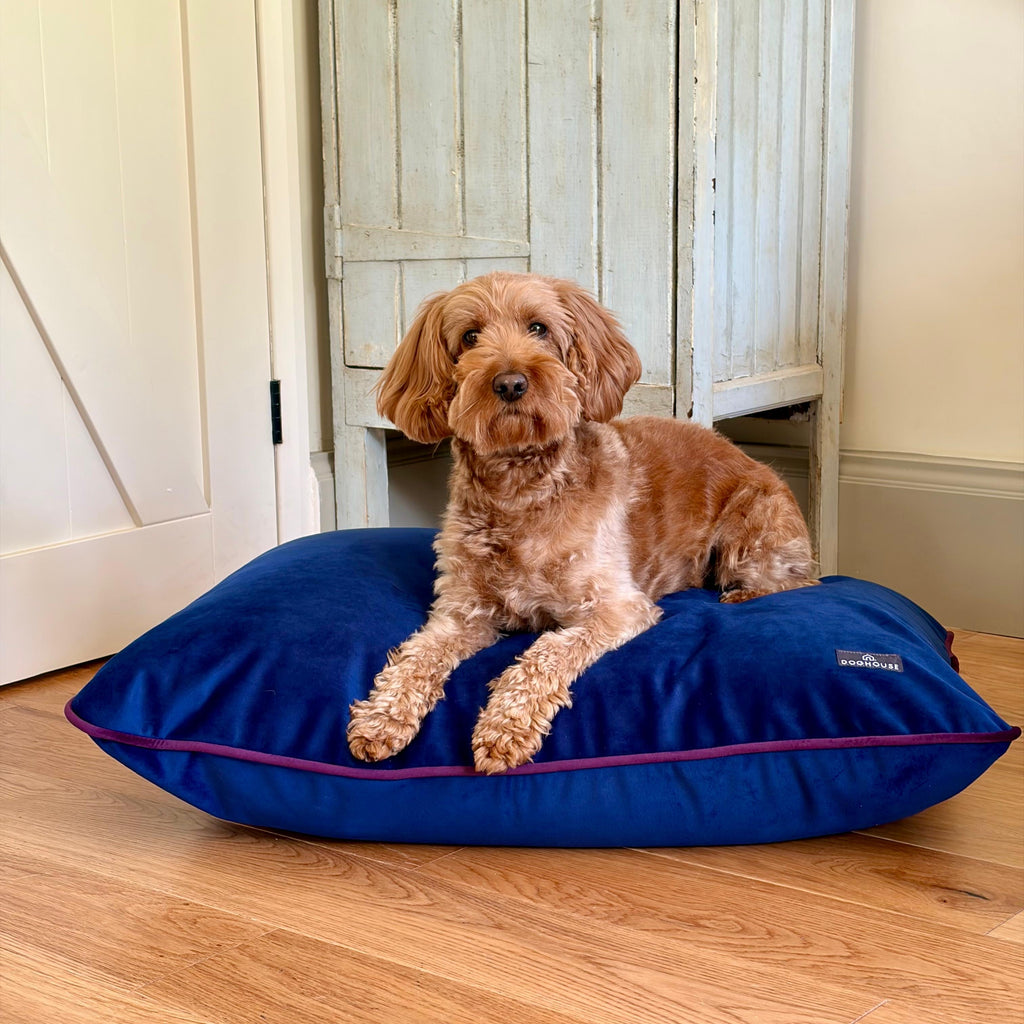 Pawliora Velvet Bed Pad for Dogs