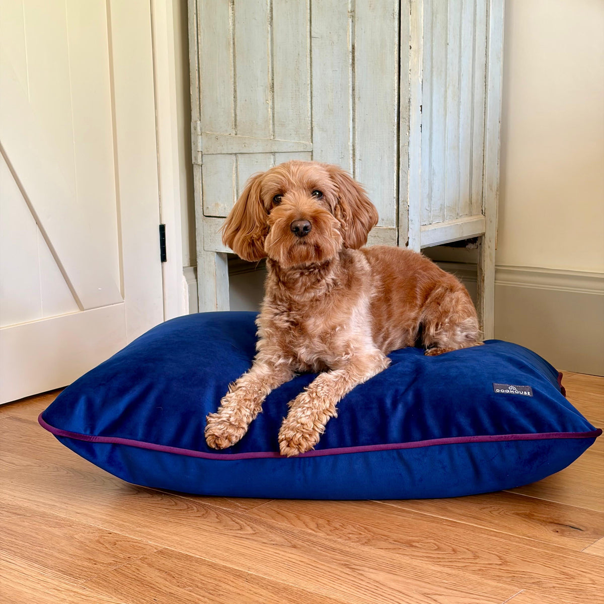 Pawliora Velvet Bed Pad for Dogs