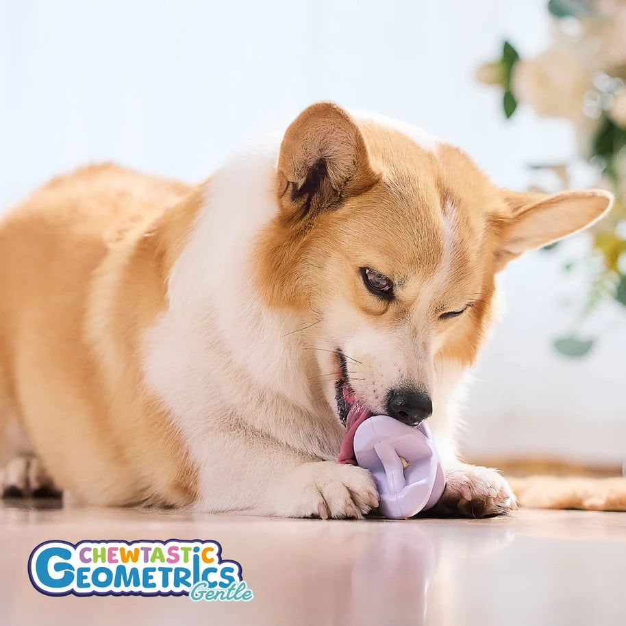 Chewtastic Geometric Astrorolly Lavender Gentle Dog Toy