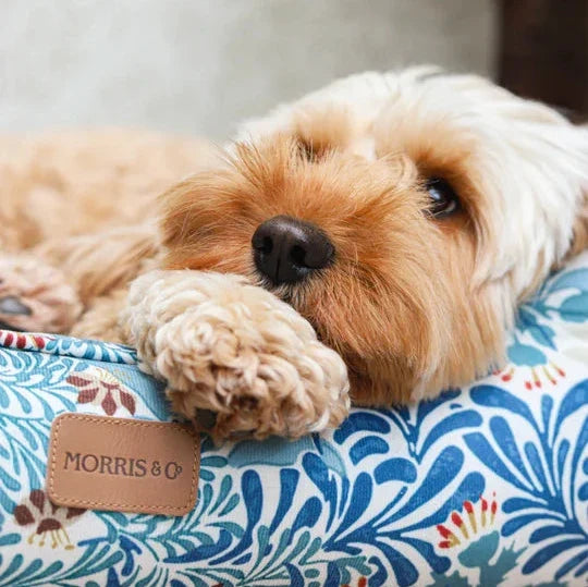Morris & Co Bower Print Dog Bed