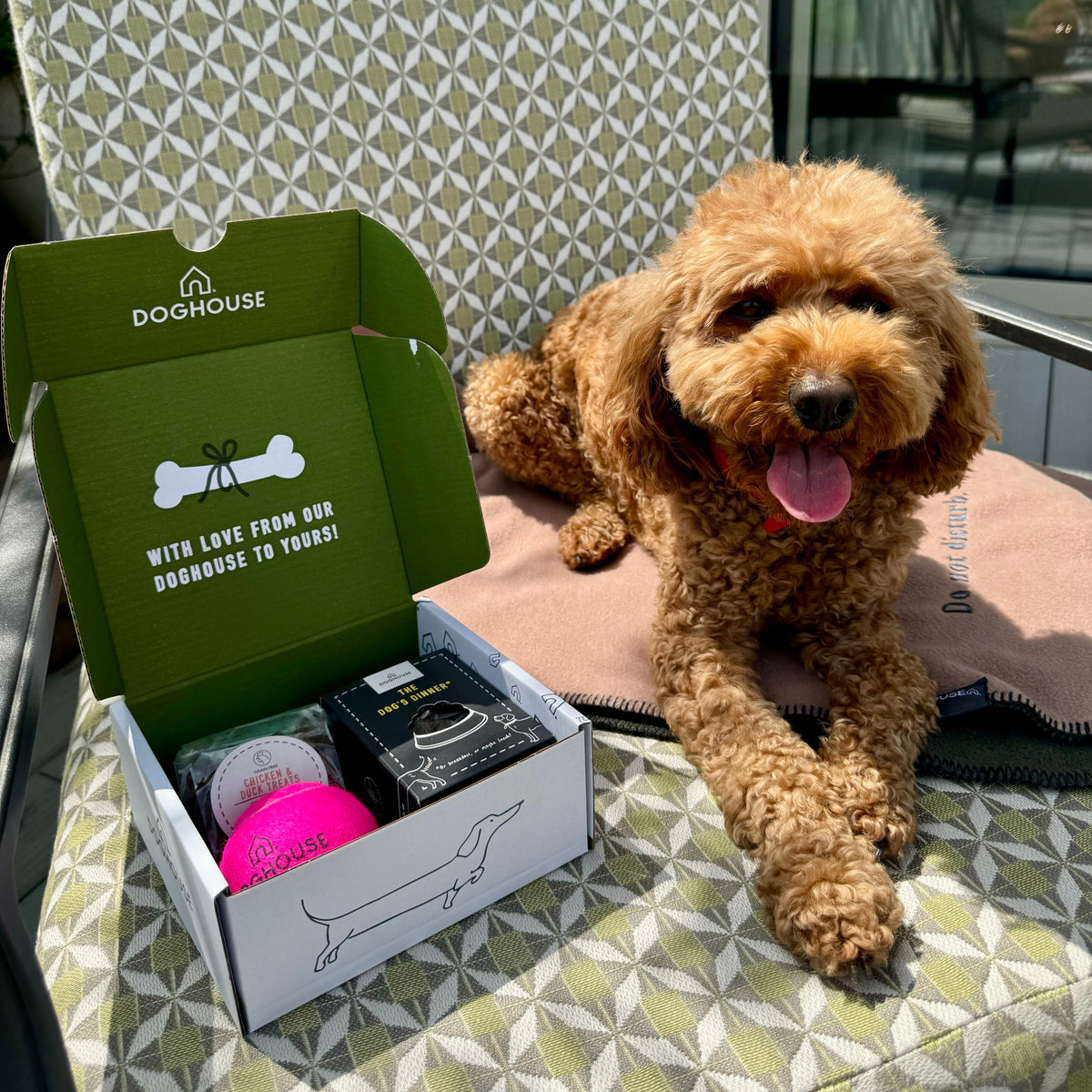 Hotel Starter Pack for Dog Friendly Hotels