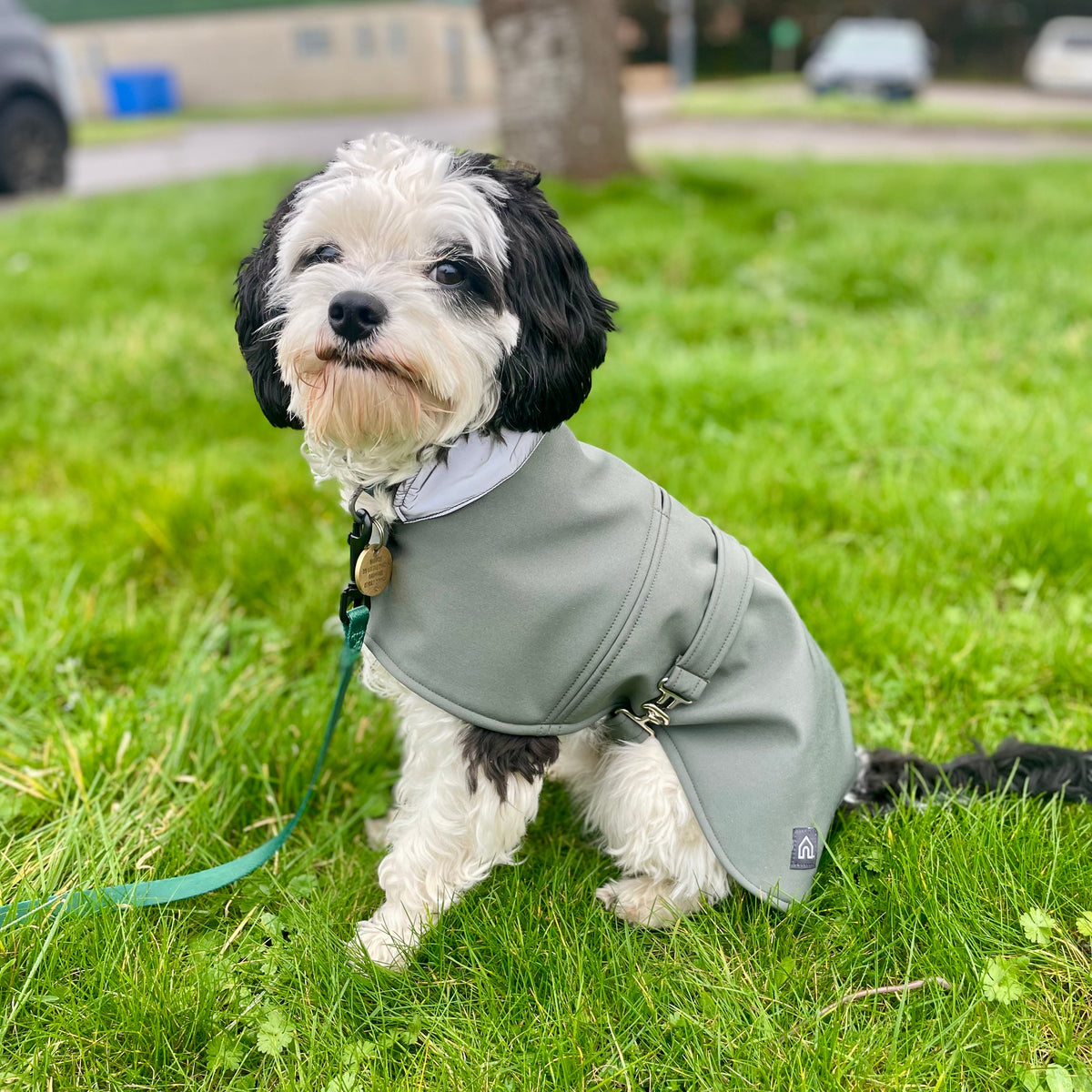 Pawliora Waterproof Coat for Dogs