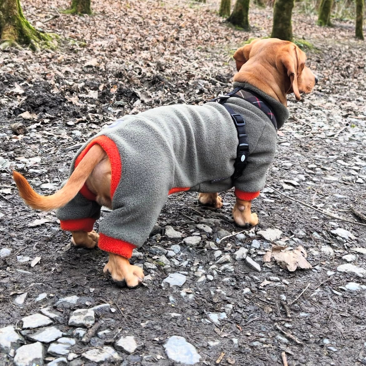 Dachshund Fleece Winter Suits with 4 Legs
