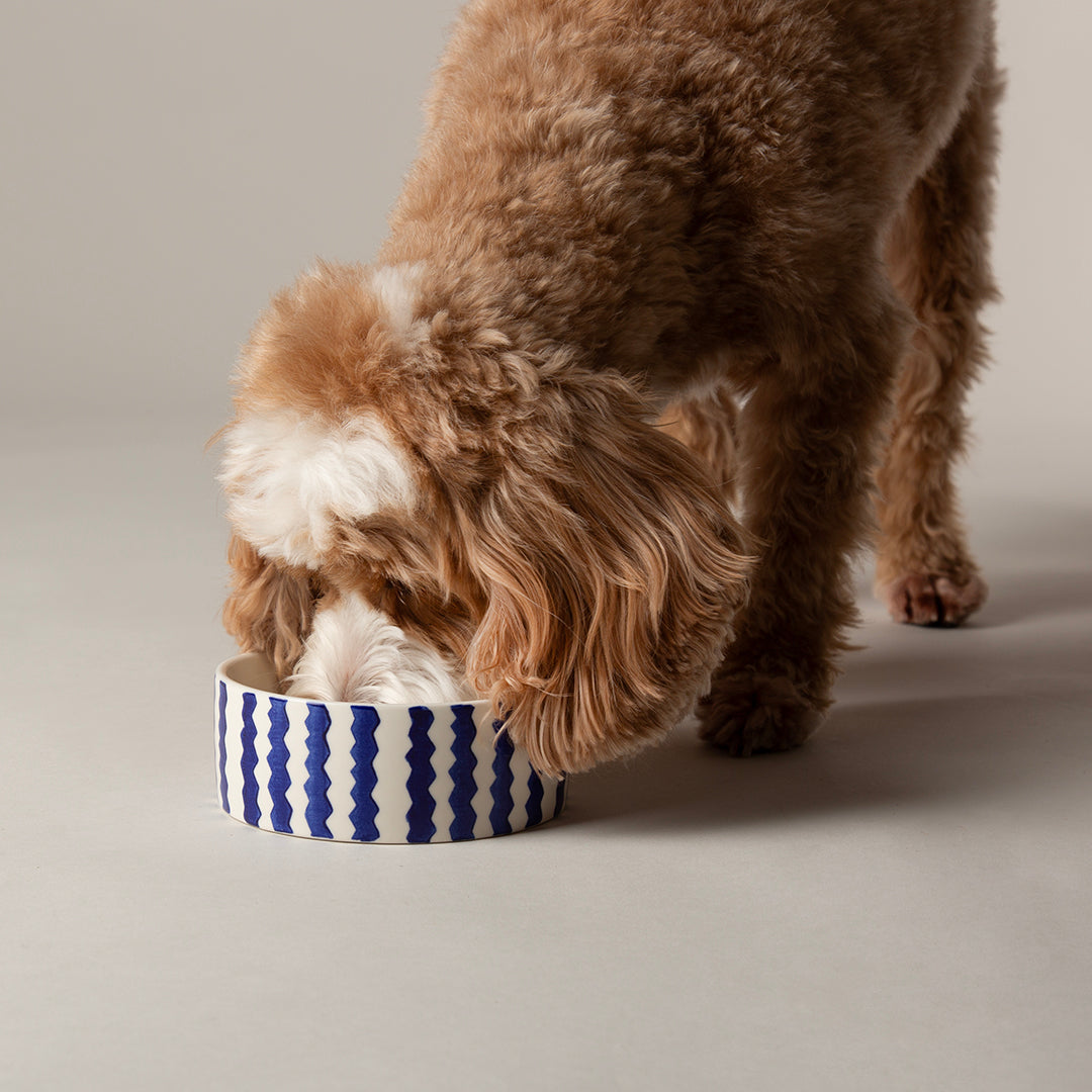 Scruffs Coastal Bowls