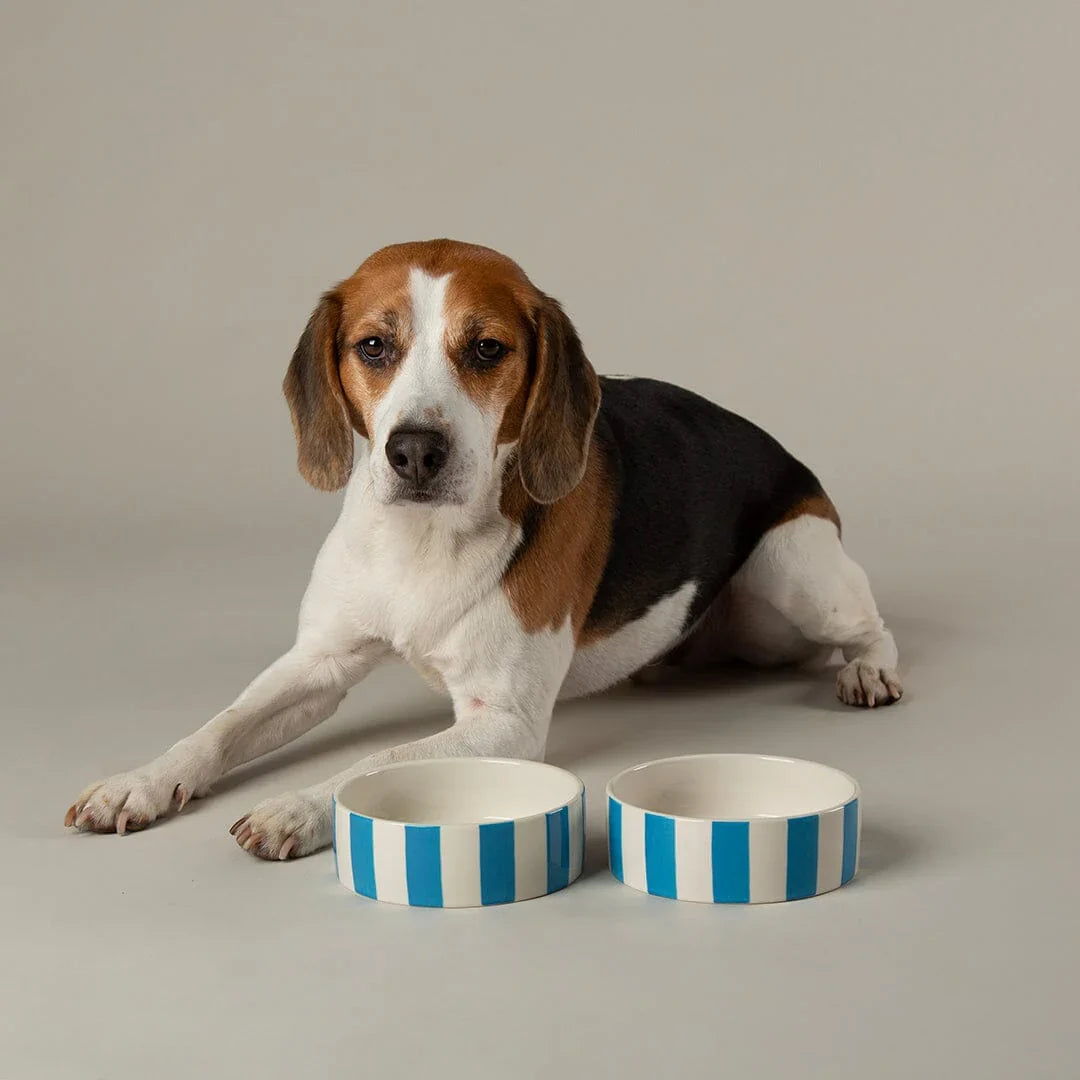 Scruffs Amalfi Stripe Bowls