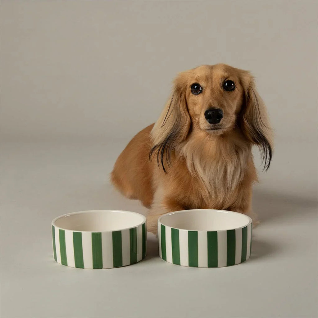 Scruffs Amalfi Stripe Bowls