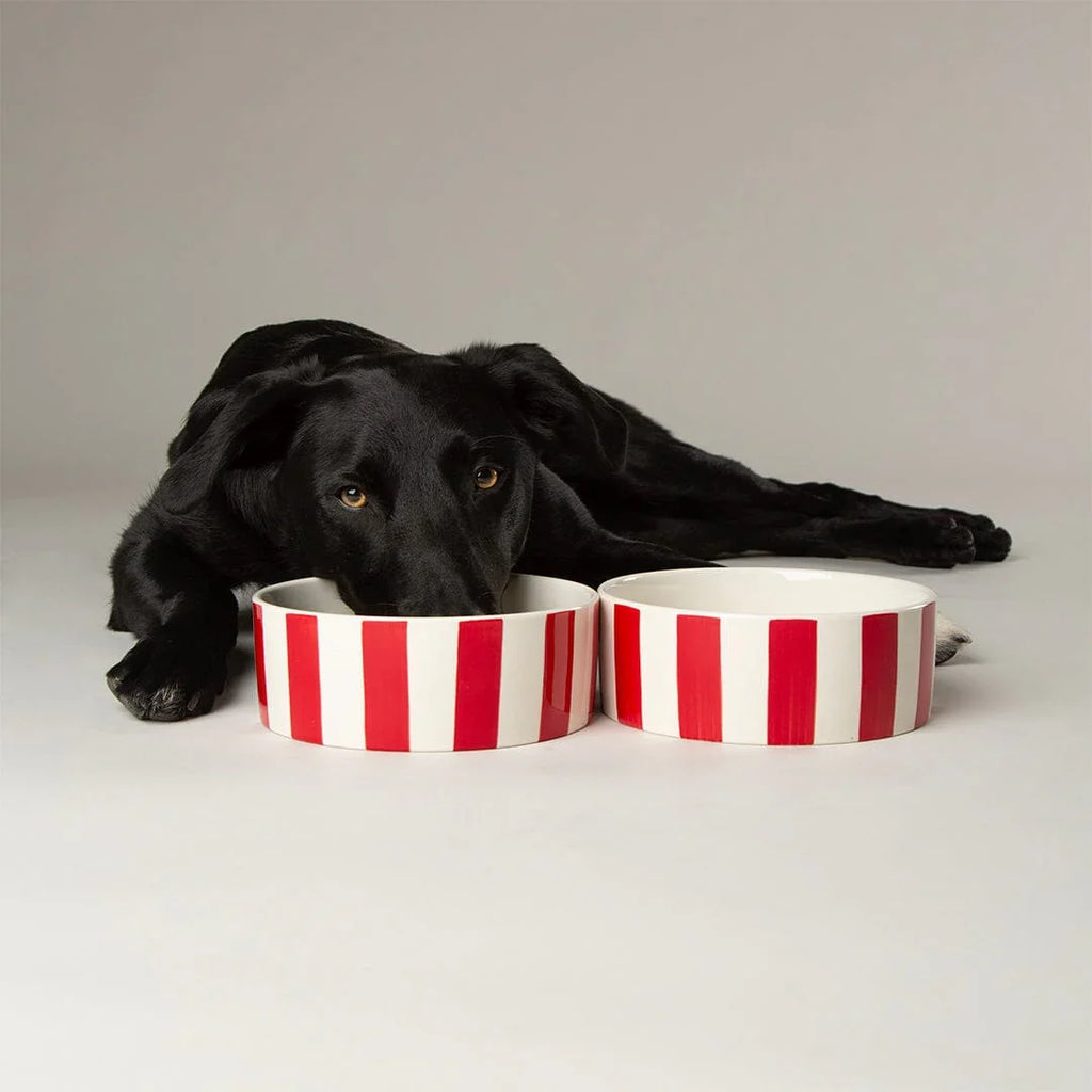 Scruffs Amalfi Stripe Bowls