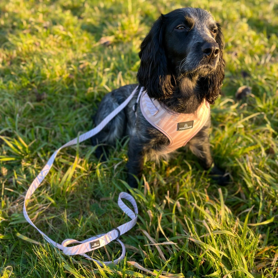 Pawliora Everyday Comfort Harness in Nude Zebra Stripe