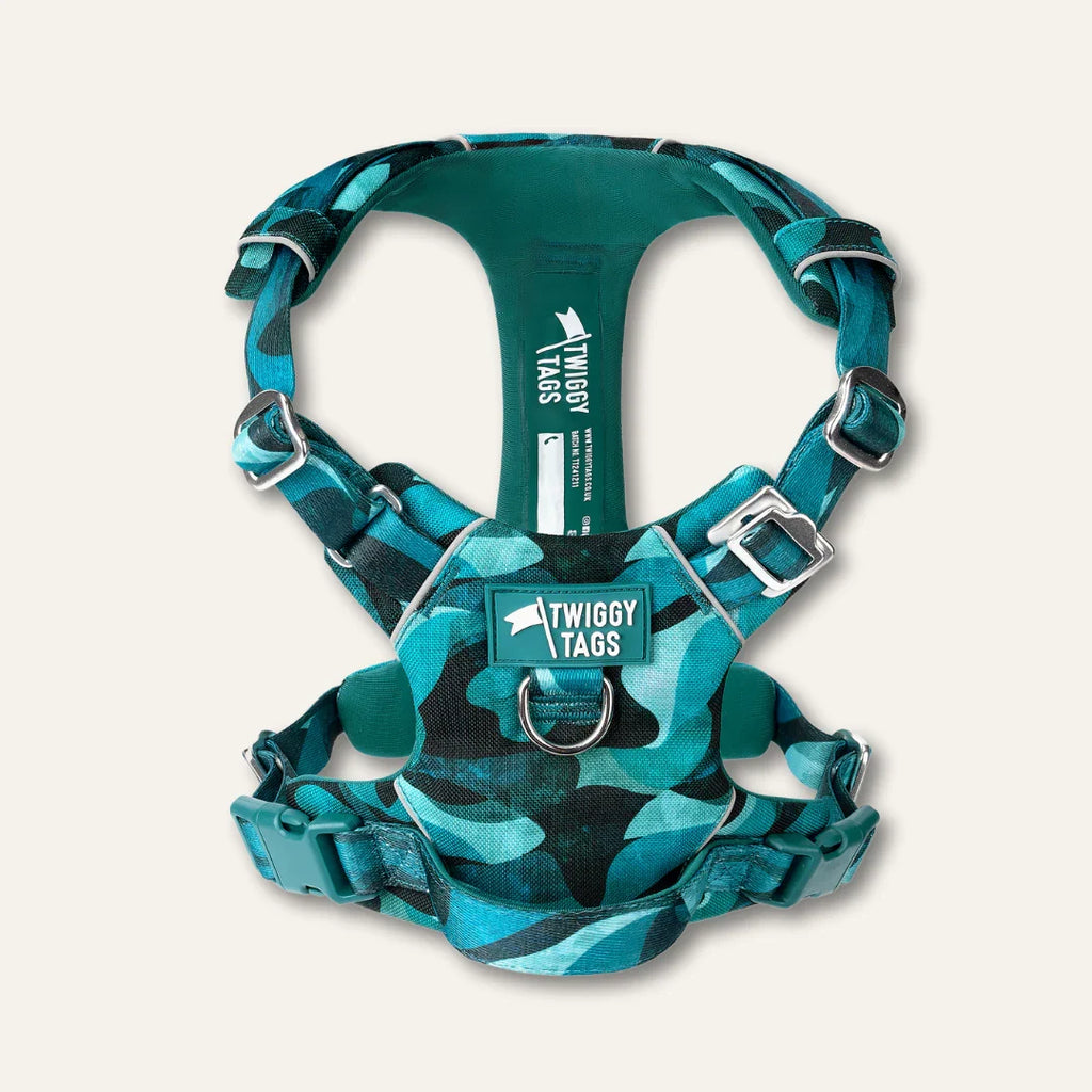 Twiggy Tags Adventure 2.0 Harness in Lagoon