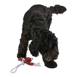 String of Sausages on Rope Dog Toy