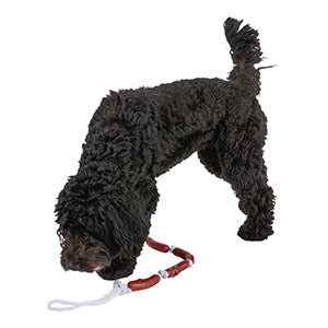 String of Sausages on Rope Dog Toy