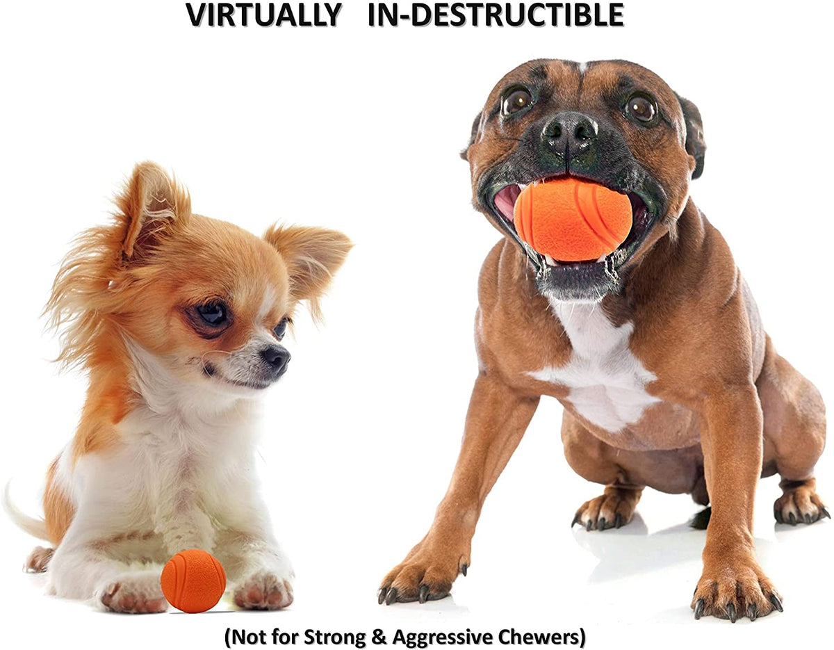Super Tough Solid Rubber Bouncing Dog Ball
