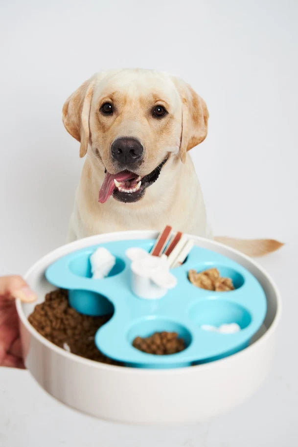 Spin Interactive Slow Feeder Palette Bowl for Dogs