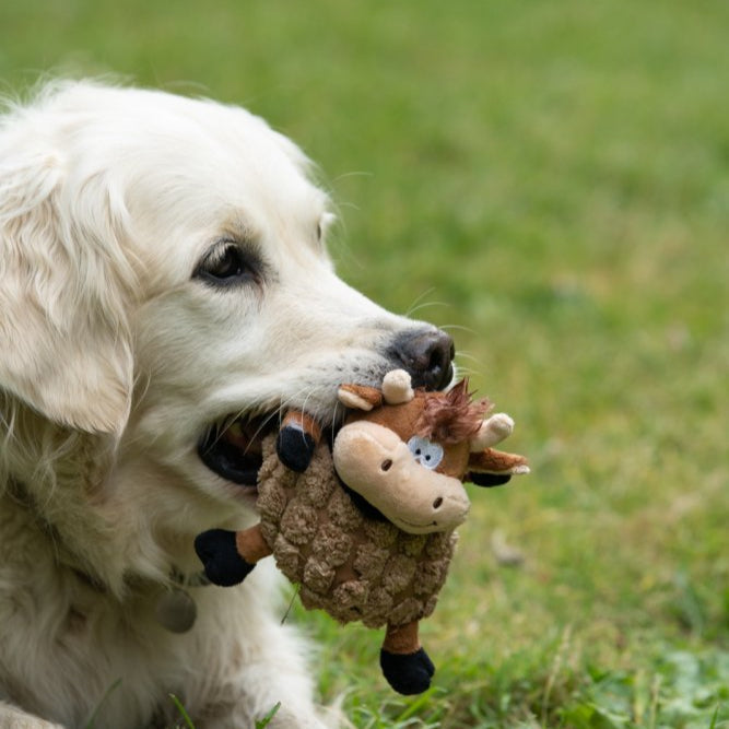 PetFace Chunky Cow Plush Toy