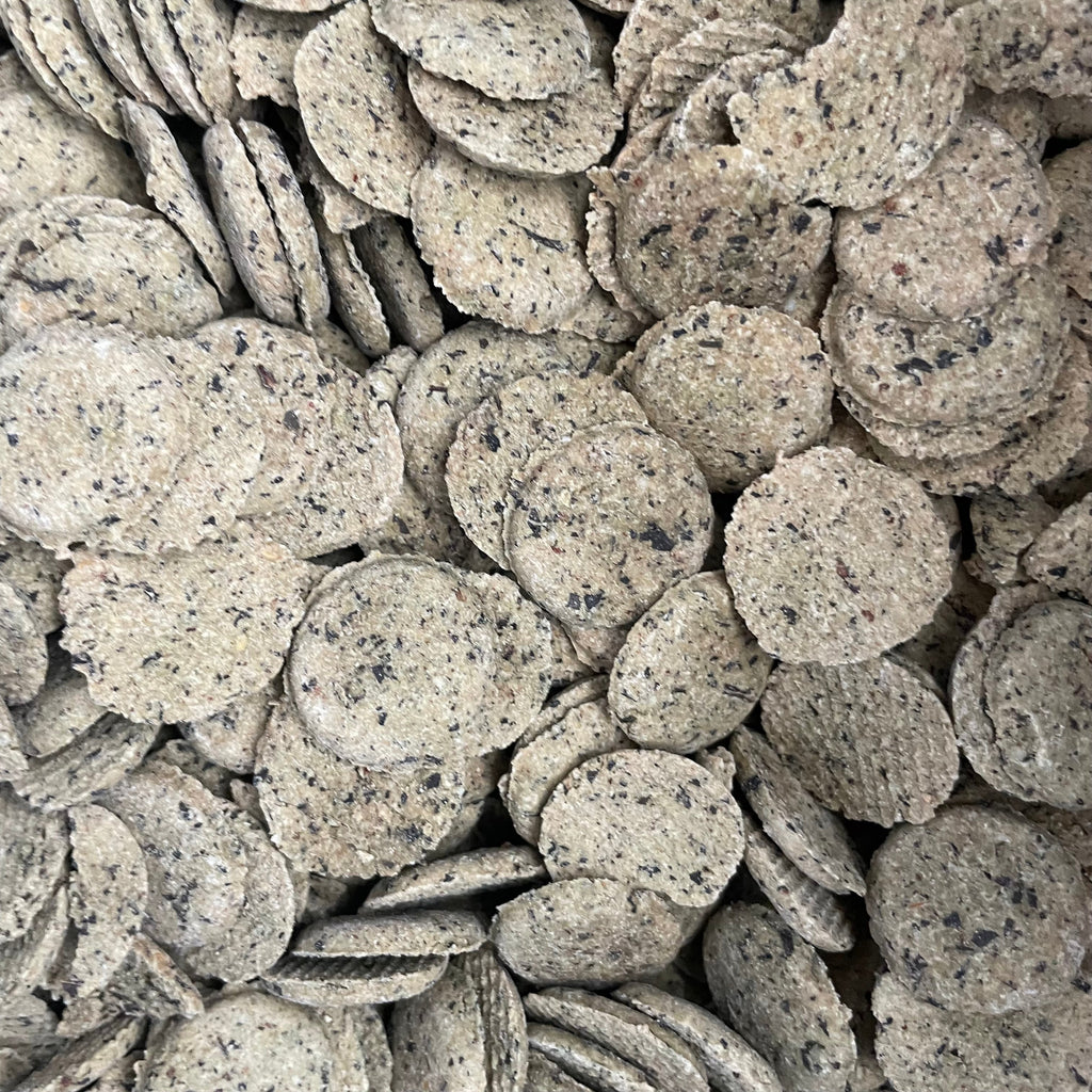 Lamb and Rubbed Mint Coins