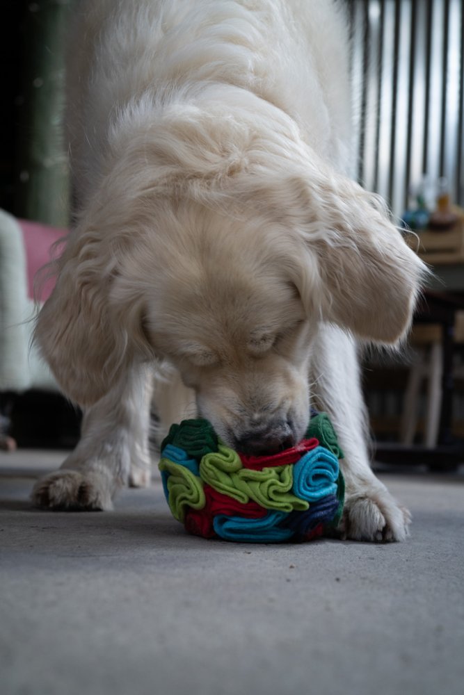 Fabric Snuffle Ball Toy