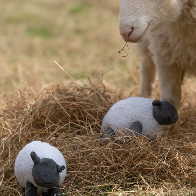 PetFace Stanley Sheep Plush Toy