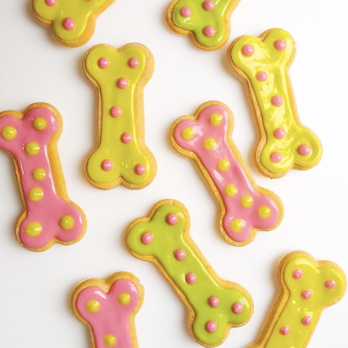 Iced Bone Biscuits for Dogs