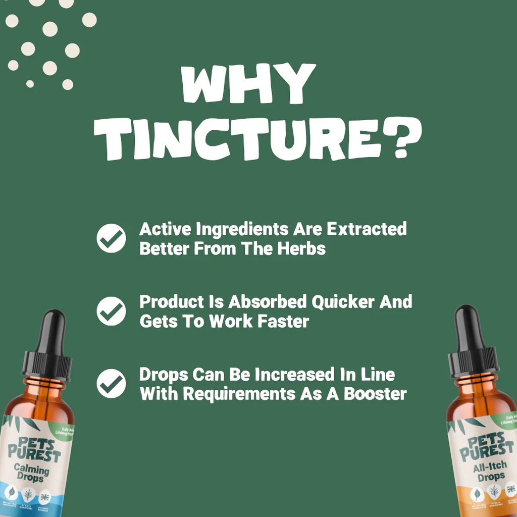 Pets Purest Allergy & Itch Drops