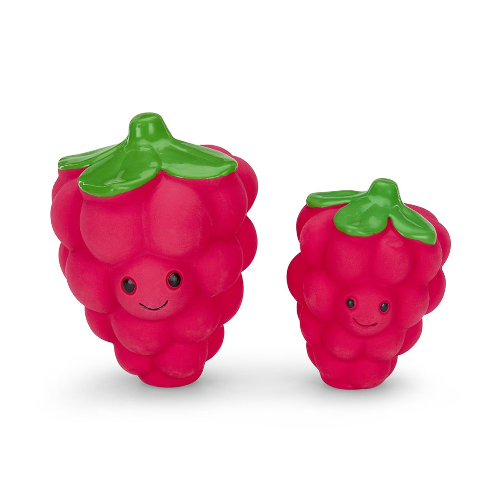 Foodie Faces Latex Raspberry Dog Toy