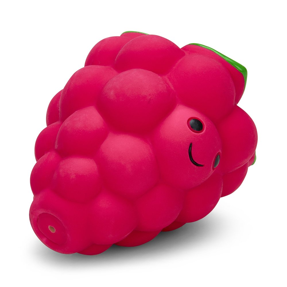 Foodie Faces Latex Raspberry Dog Toy