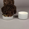 Scruffs Icon Slow Feeder Pet Bowl