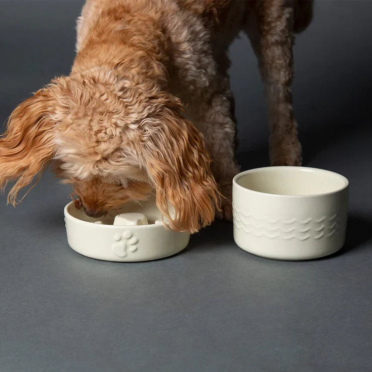 Scruffs Icon Slow Feeder Pet Bowl