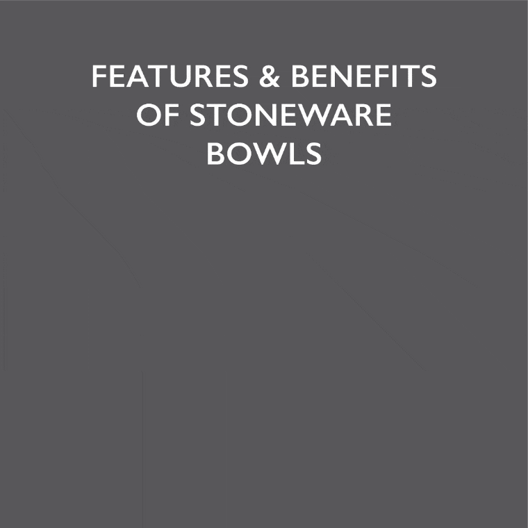 Scruffs Ombre Bowls for Pets