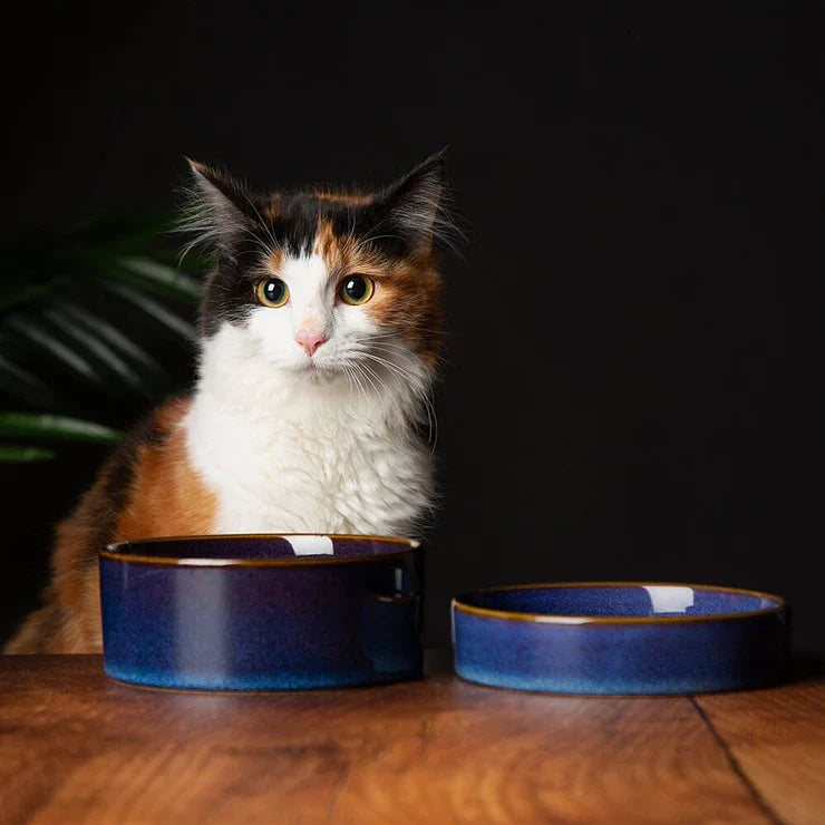 Scruffs Reactive Glaze Pet Food Bowl