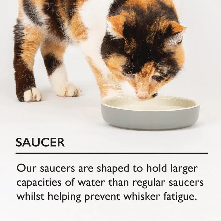 Scruffs Reactive Glaze Pet Food Bowl