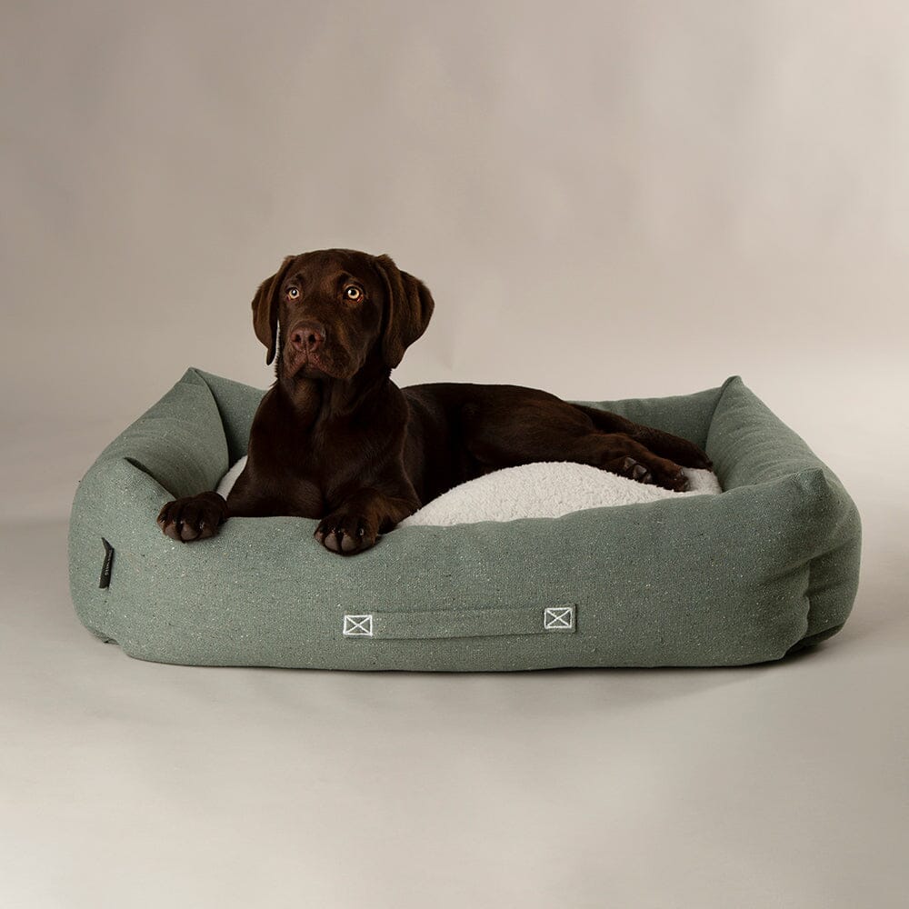 Scruffs Eco Eden Box Bed for Dogs