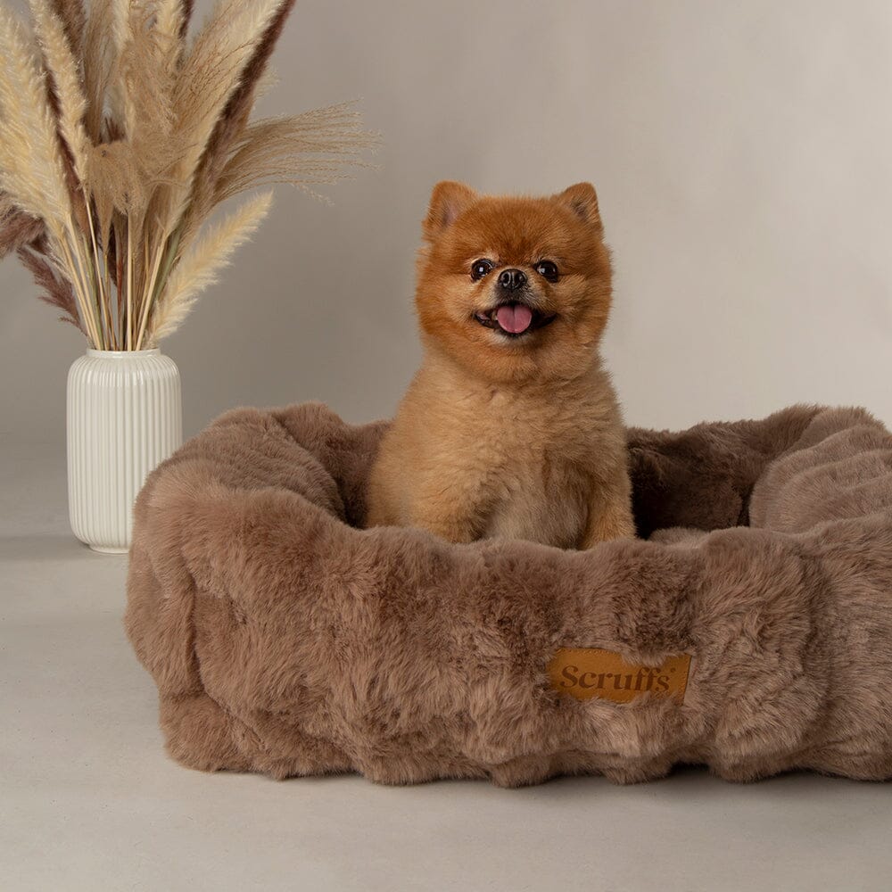 Scruffs Alpine Box Bed for Dogs