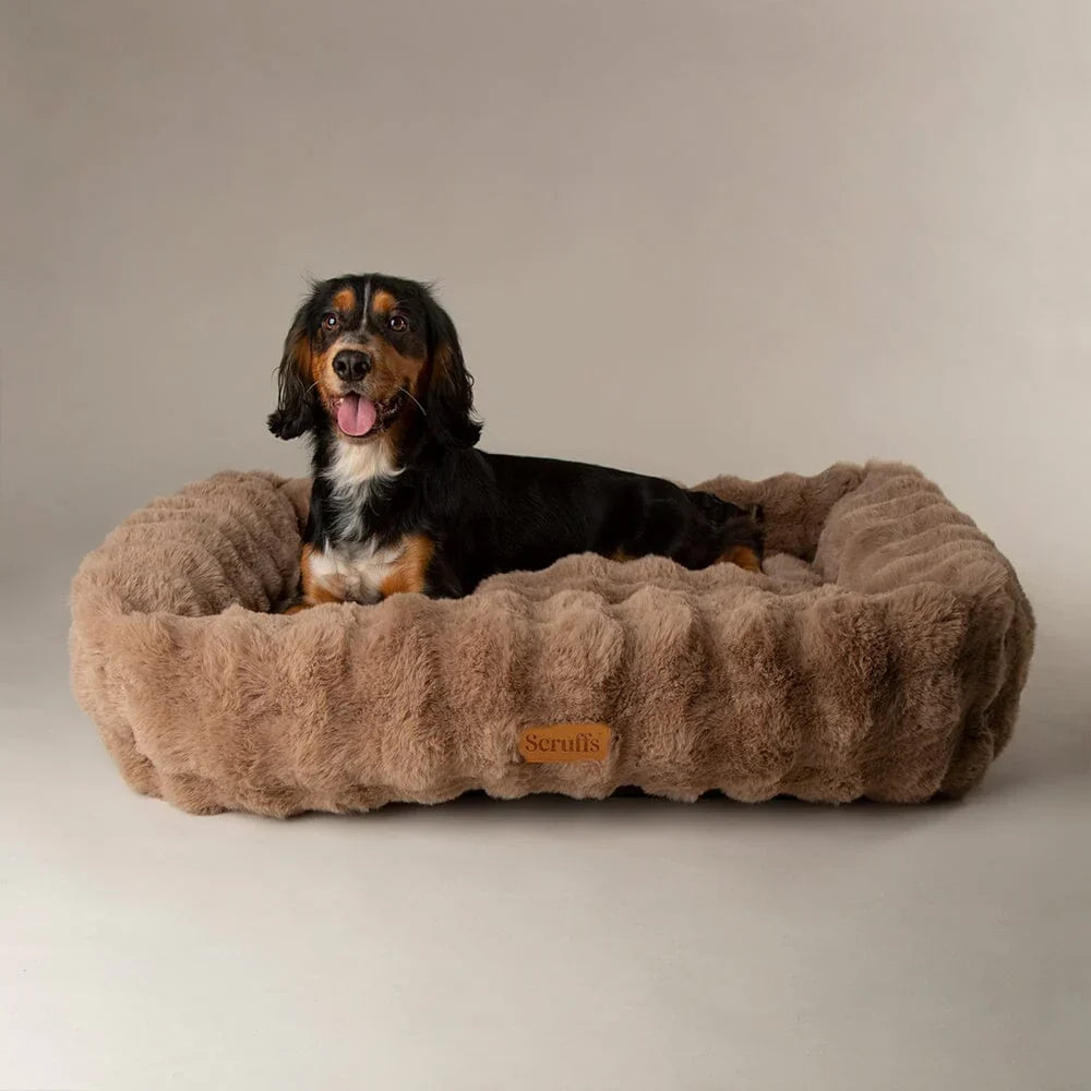 Scruffs Alpine Box Bed for Dogs