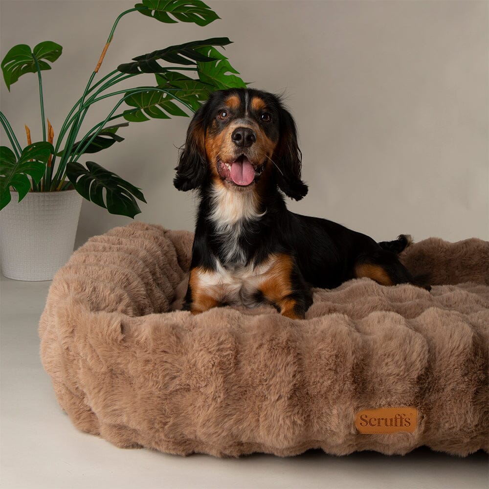 Scruffs Alpine Box Bed for Dogs