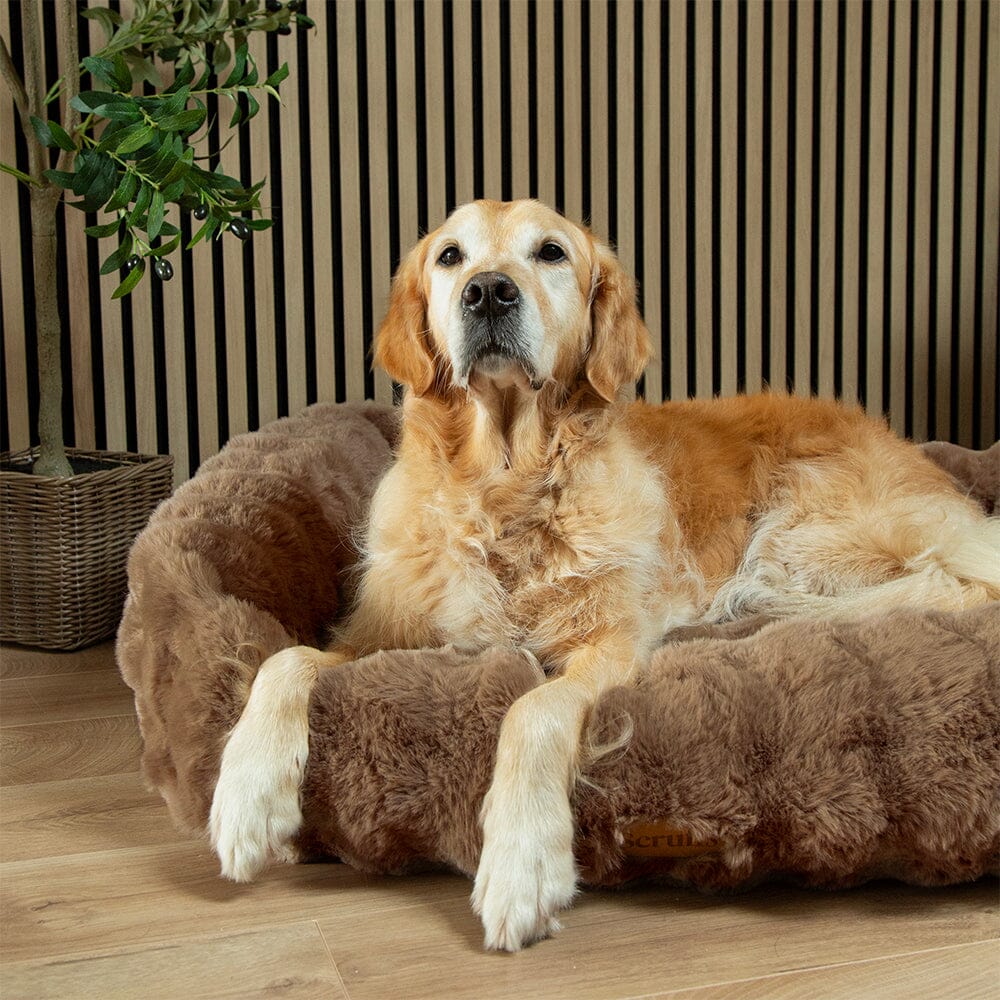 Scruffs Alpine Box Bed for Dogs