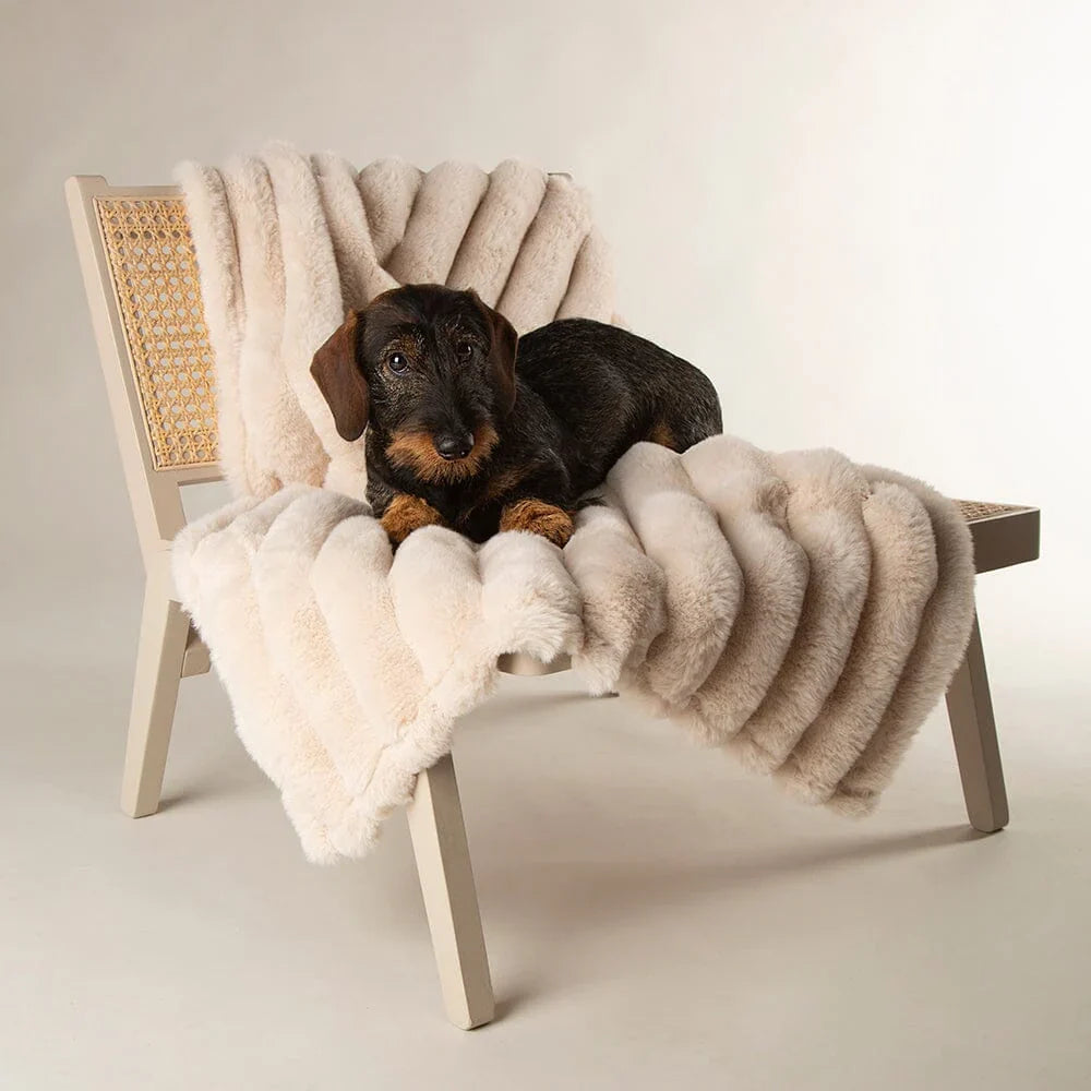 Scruffs Aspen Pet Blanket