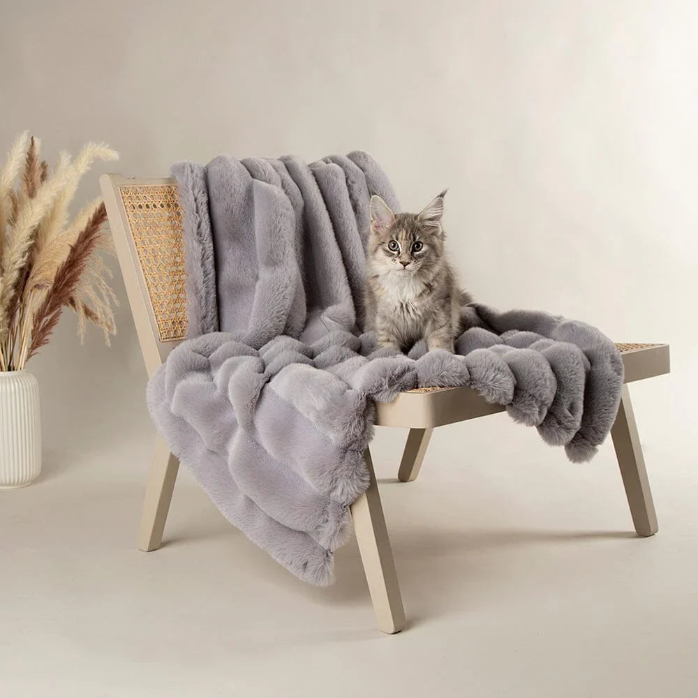 Scruffs Aspen Pet Blanket