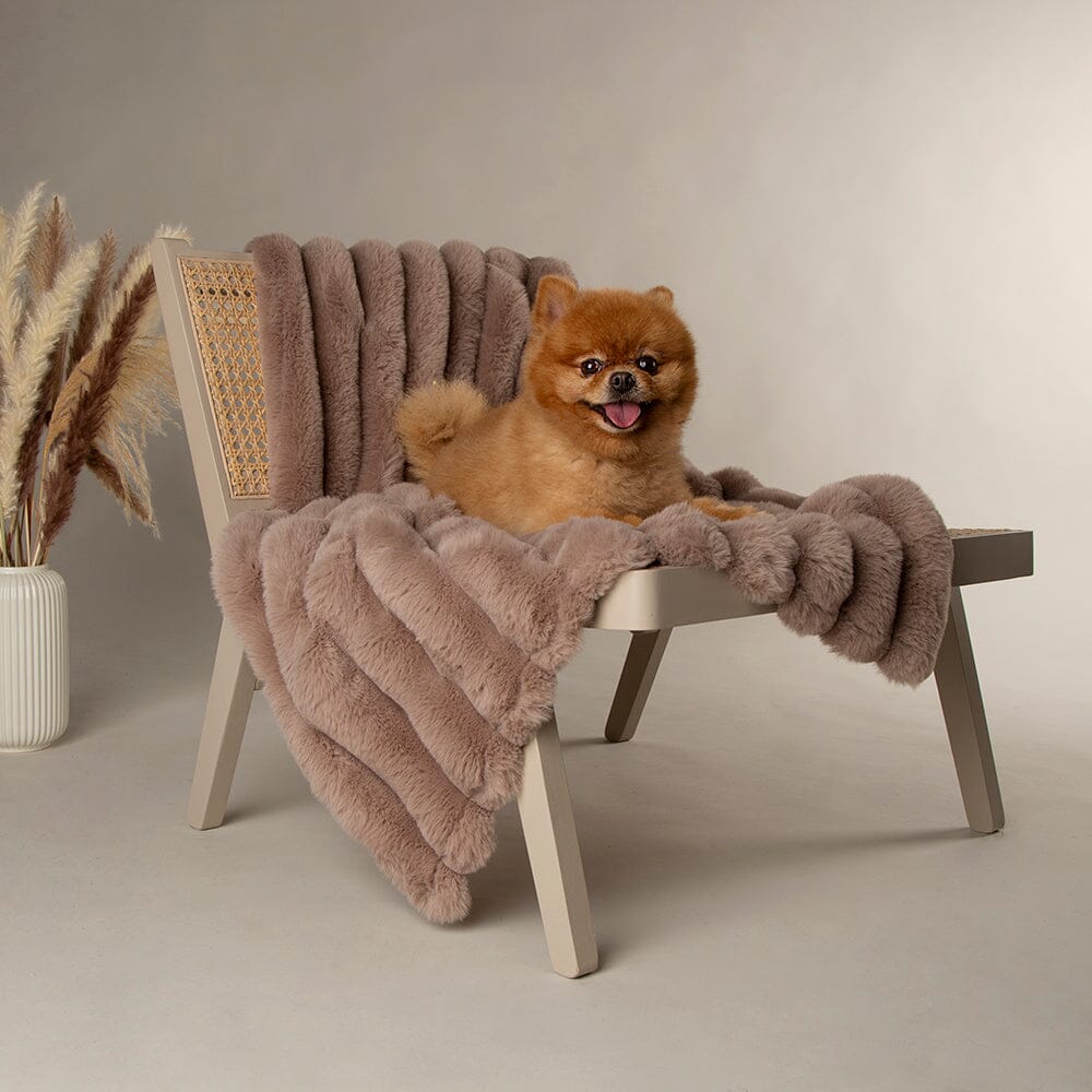 Scruffs Aspen Pet Blanket