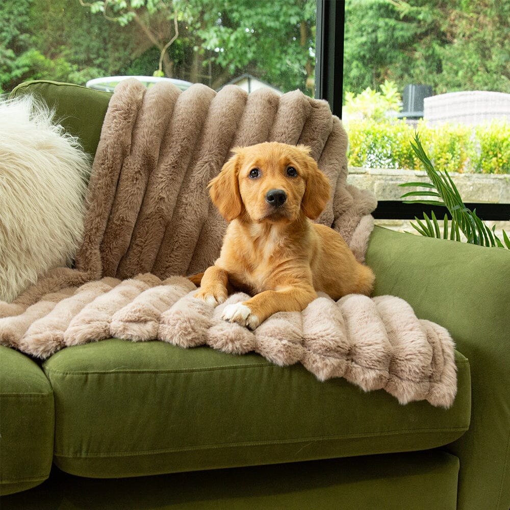 Scruffs Aspen Pet Blanket