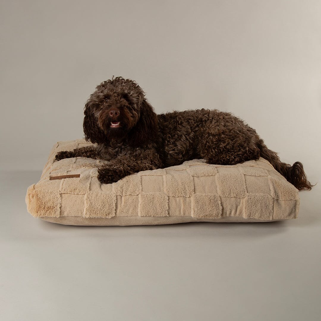 Scruffs Oxford Orthopaedic Mattress