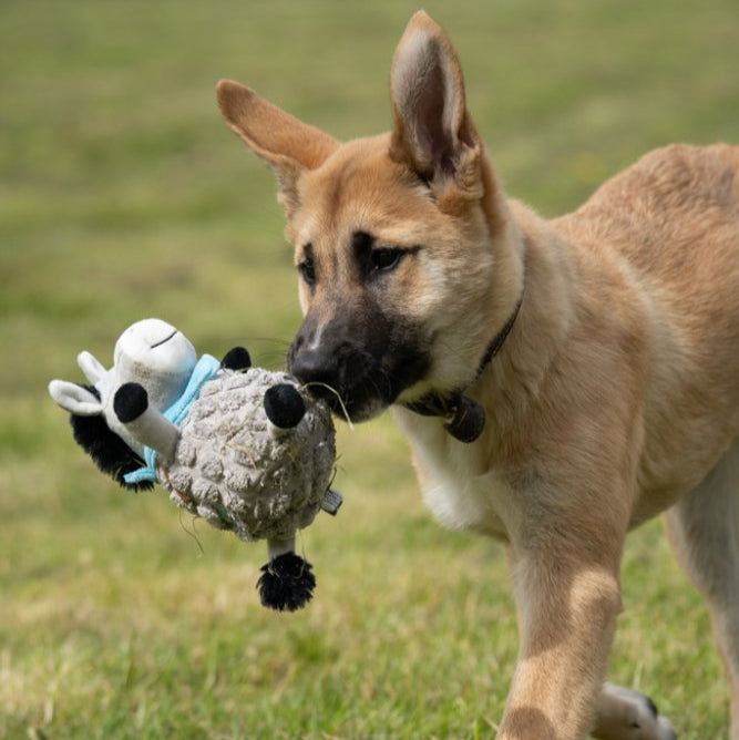 PetFace Dumpy Donkey Plush Dog Toy